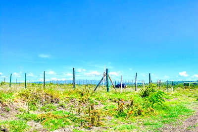 Residential Plot For Sale In Nanyuki, Naromoru - Image 7