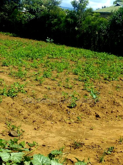 Plot on Sale at Kimende Kiambu - Image 1