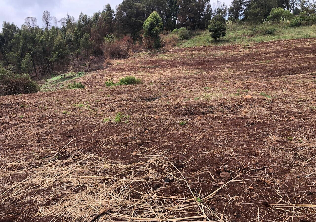 4-Acre Land with Lake View - Kikuyu