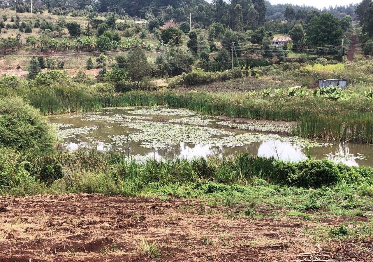4-Acre Land with Lake View - Kikuyu