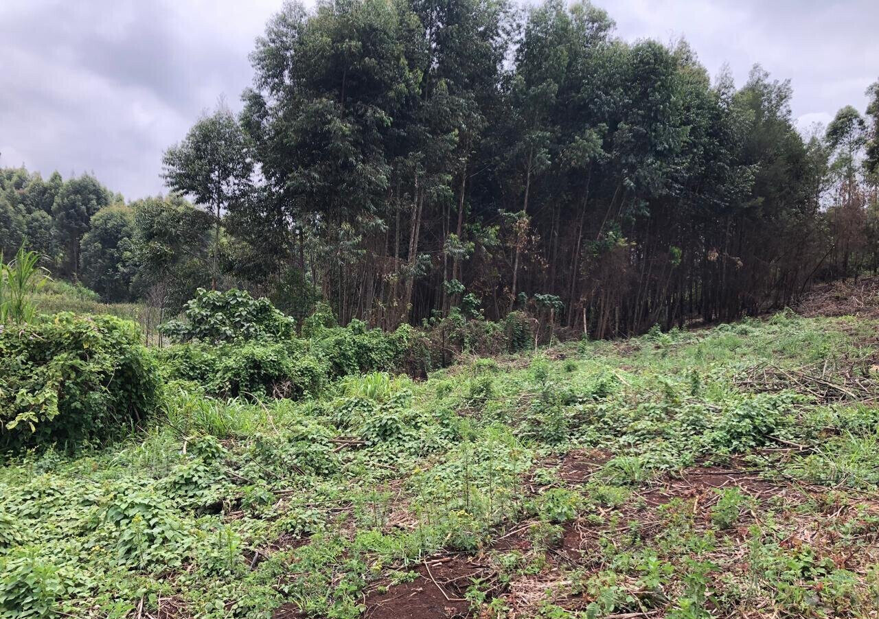 4-Acre Land with Lake View - Kikuyu