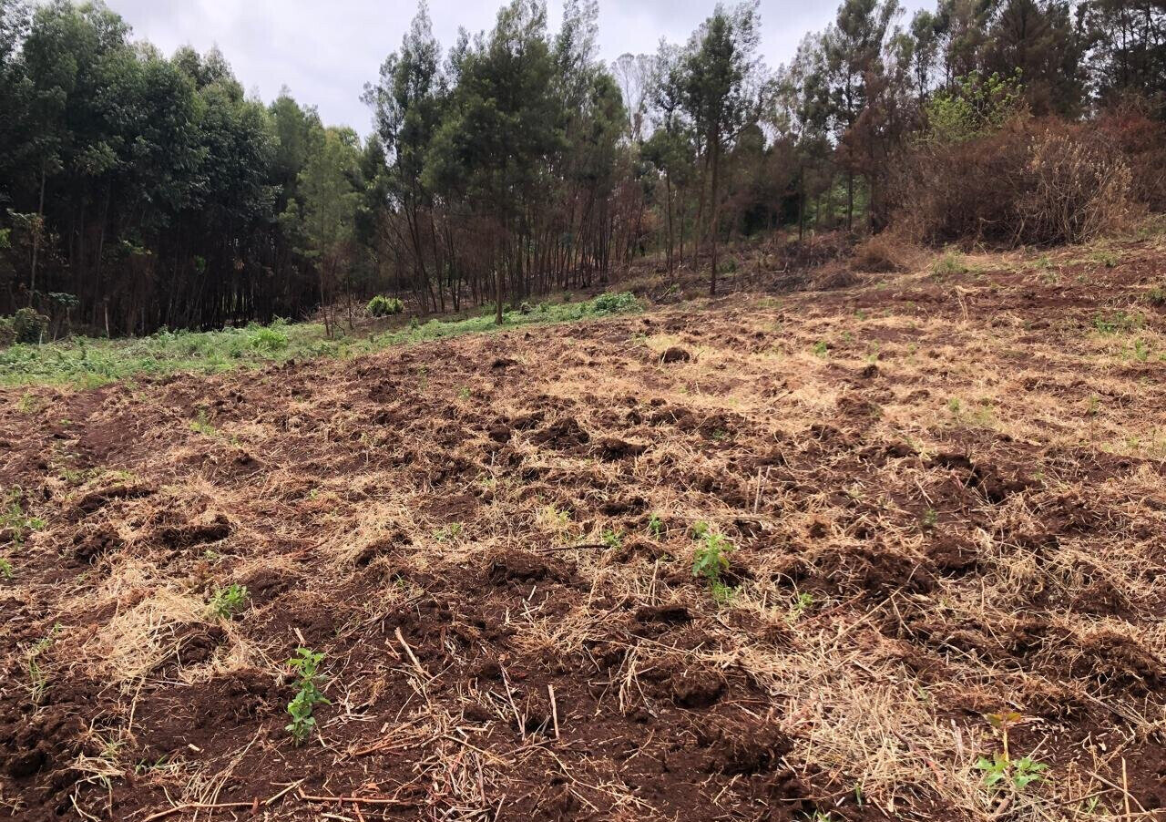 4-Acre Land with Lake View - Kikuyu