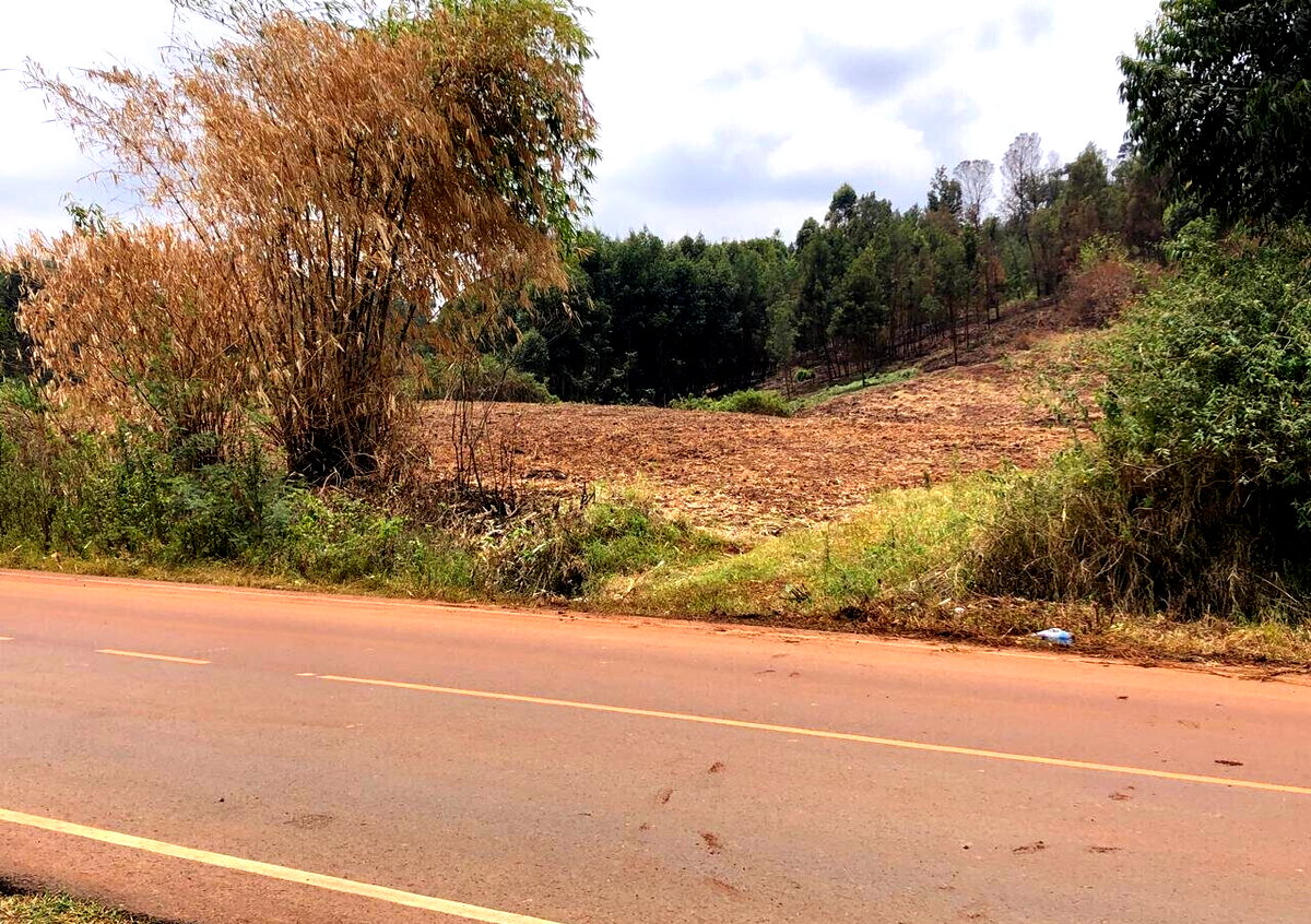 4-Acre Land with Lake View - Kikuyu