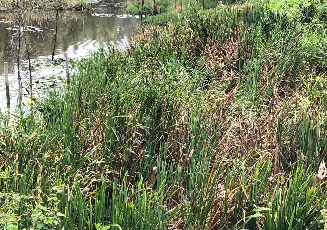 4-Acre Land with Lake View - Kikuyu