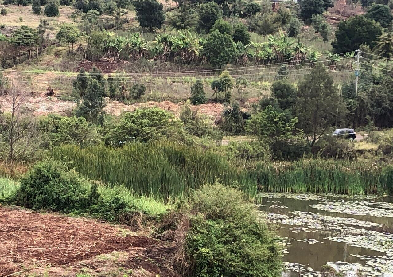 4-Acre Land with Lake View - Kikuyu
