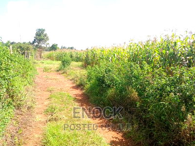 1 Acre Parcels Land for Sale in Cheplaske,Near Bypass - Image 3