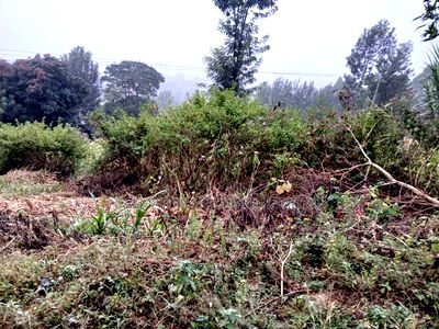 Prime 100 by 100 Plot for Sale Touching Ngong-Kahara Tarmac - Image 2