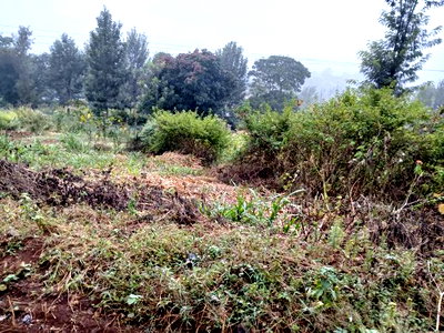 Prime 100 by 100 Plot for Sale Touching Ngong-Kahara Tarmac - Image 1