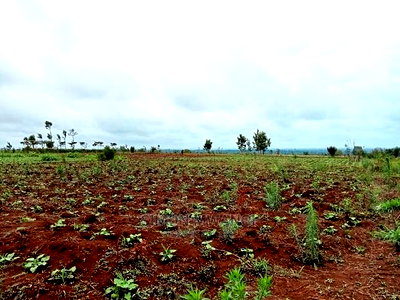 40 by 80 Residential Plot in Anmer Estate/Kiambu - Image 6