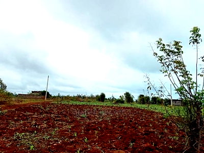 40 by 80 Residential Plot in Anmer Estate/Kiambu - Image 5