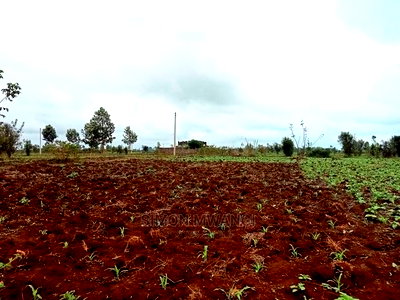 40 by 80 Residential Plot in Anmer Estate/Kiambu - Image 1