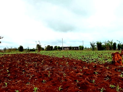 40 by 80 Residential Plot in Anmer Estate/Kiambu - Image 2