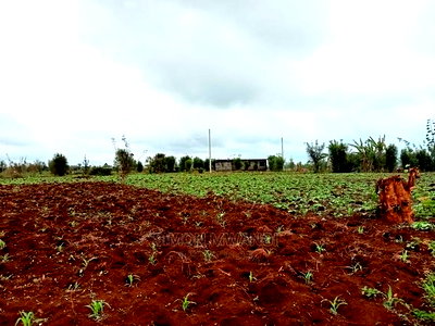 40 by 80 Residential Plot in Anmer Estate/Kiambu - Image 3