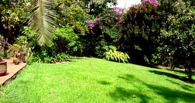 1 Acre Garden Estate for Rent