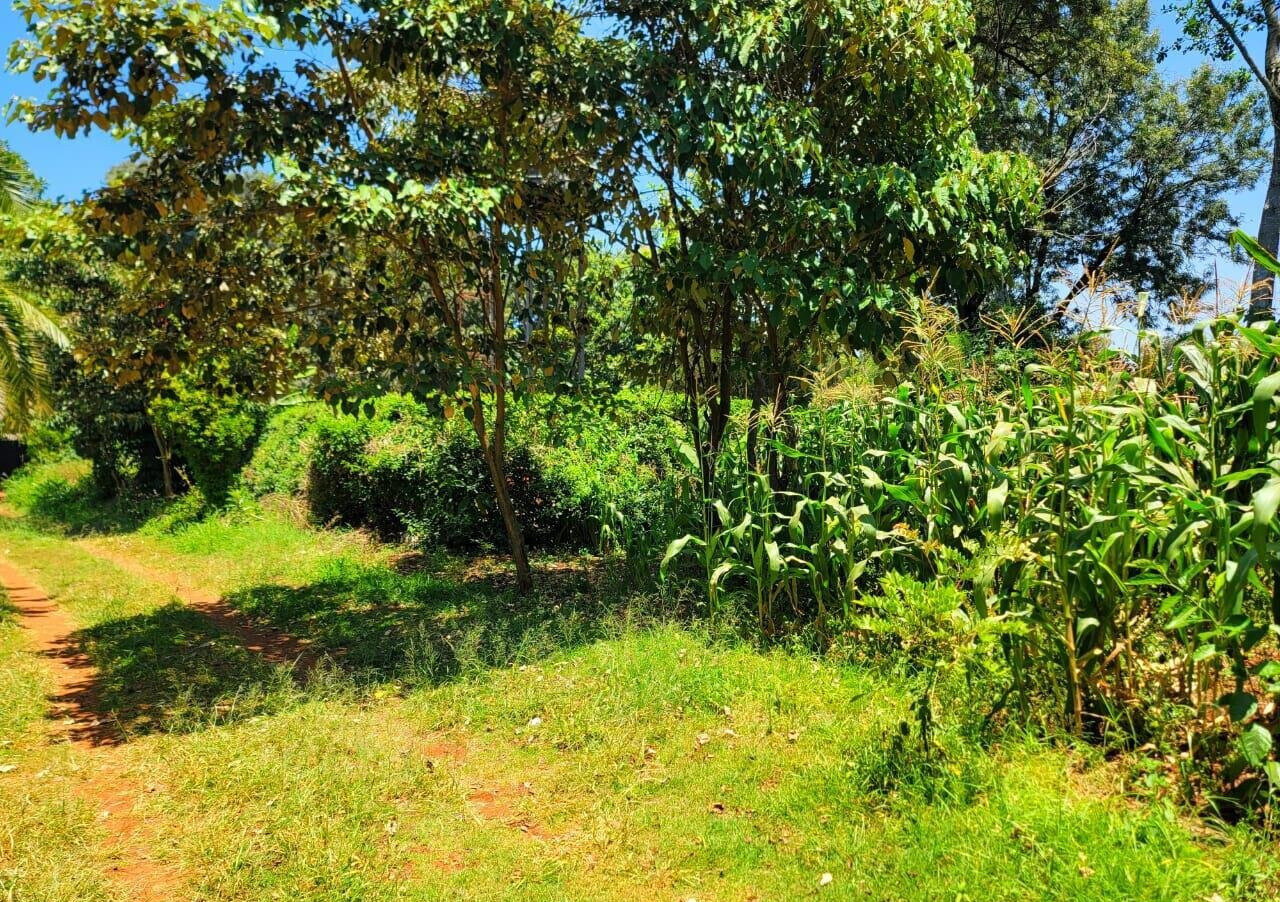 1 Acre Langata Plot for Sale