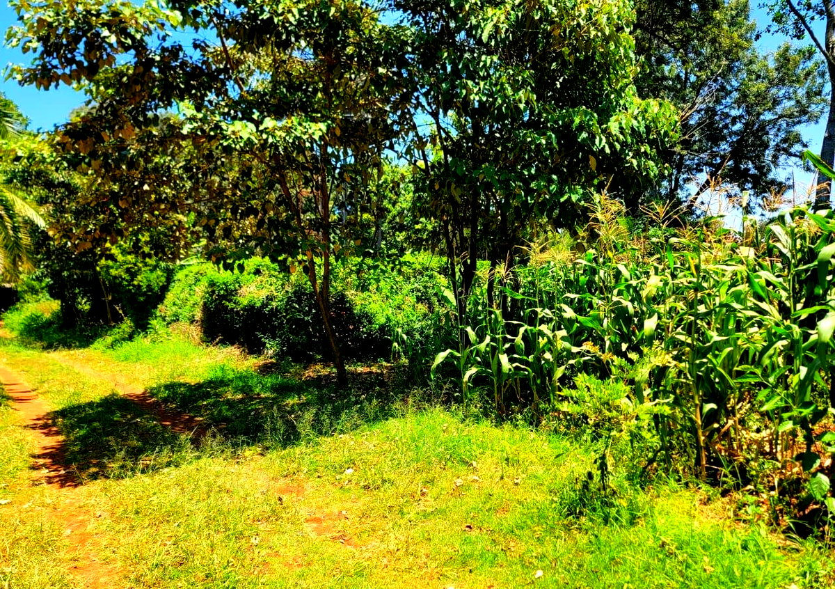 1 Acre Langata Plot for Sale