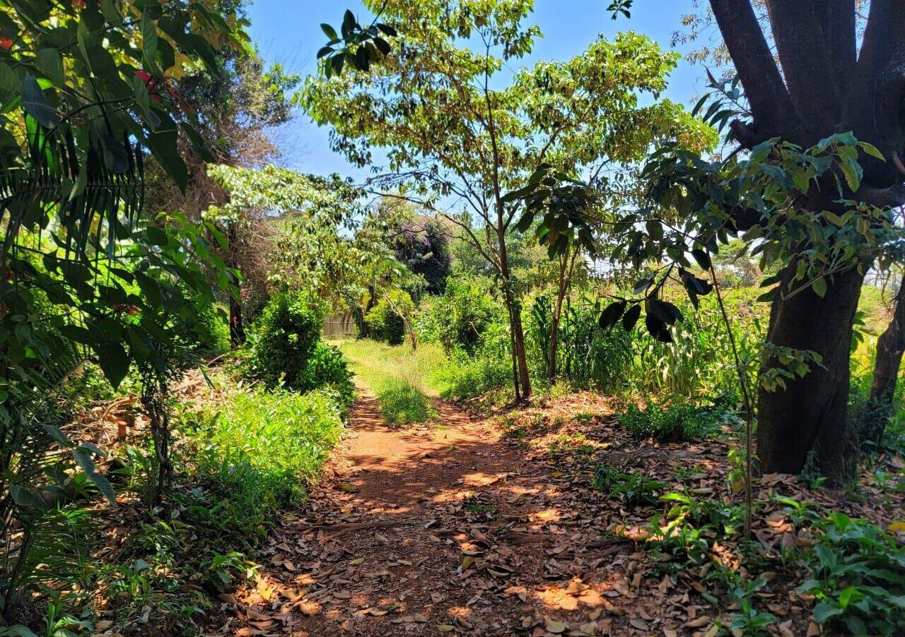 1 Acre Langata Plot for Sale