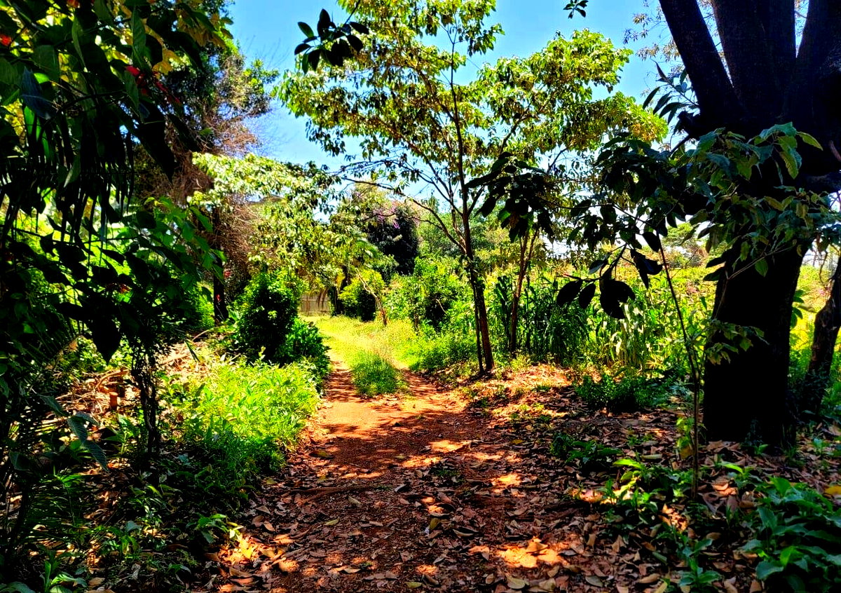 1 Acre Langata Plot for Sale