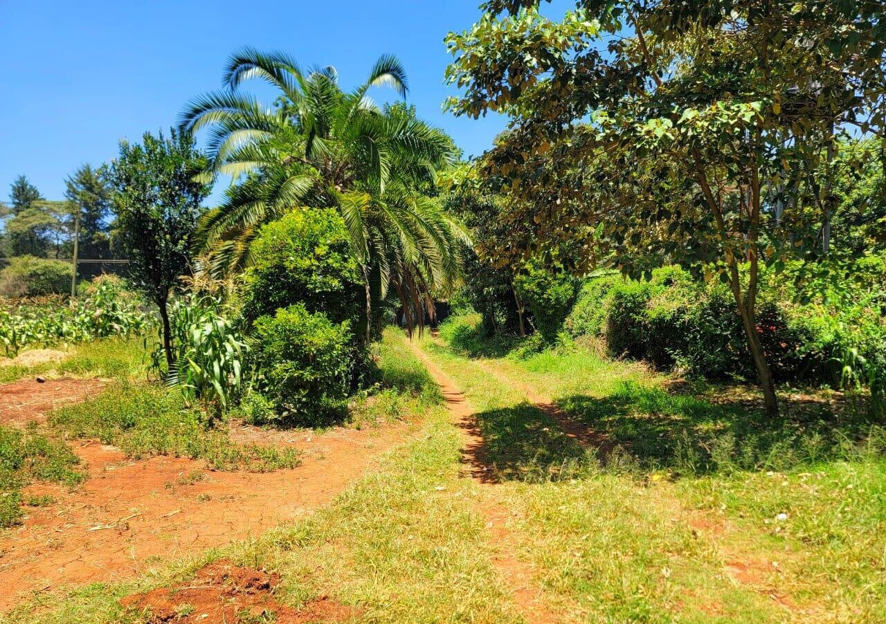 1 Acre Langata Plot for Sale