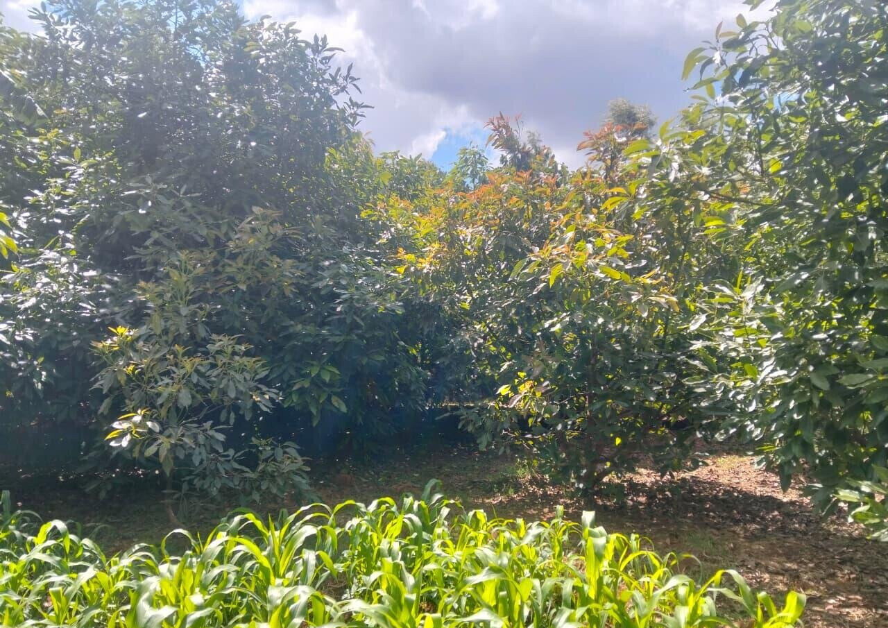 1-Acre Land at KSh 35M