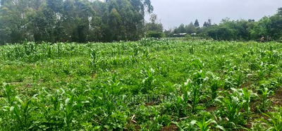Arable 1 Acre Land for Sale in Kabenez Kipsangui in Eldoret - Image 1