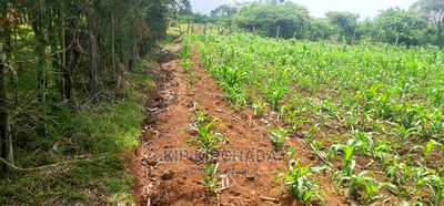Arable 1 Acre Land for Sale in Kabenez Kipsangui in Eldoret - Image 7