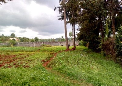 KSh 50M Loresho Land Deal