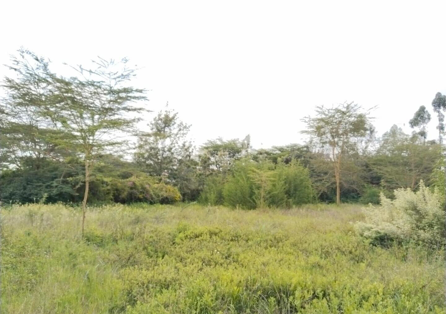1.5 Acre Commercial Plot in Maasai Lodge