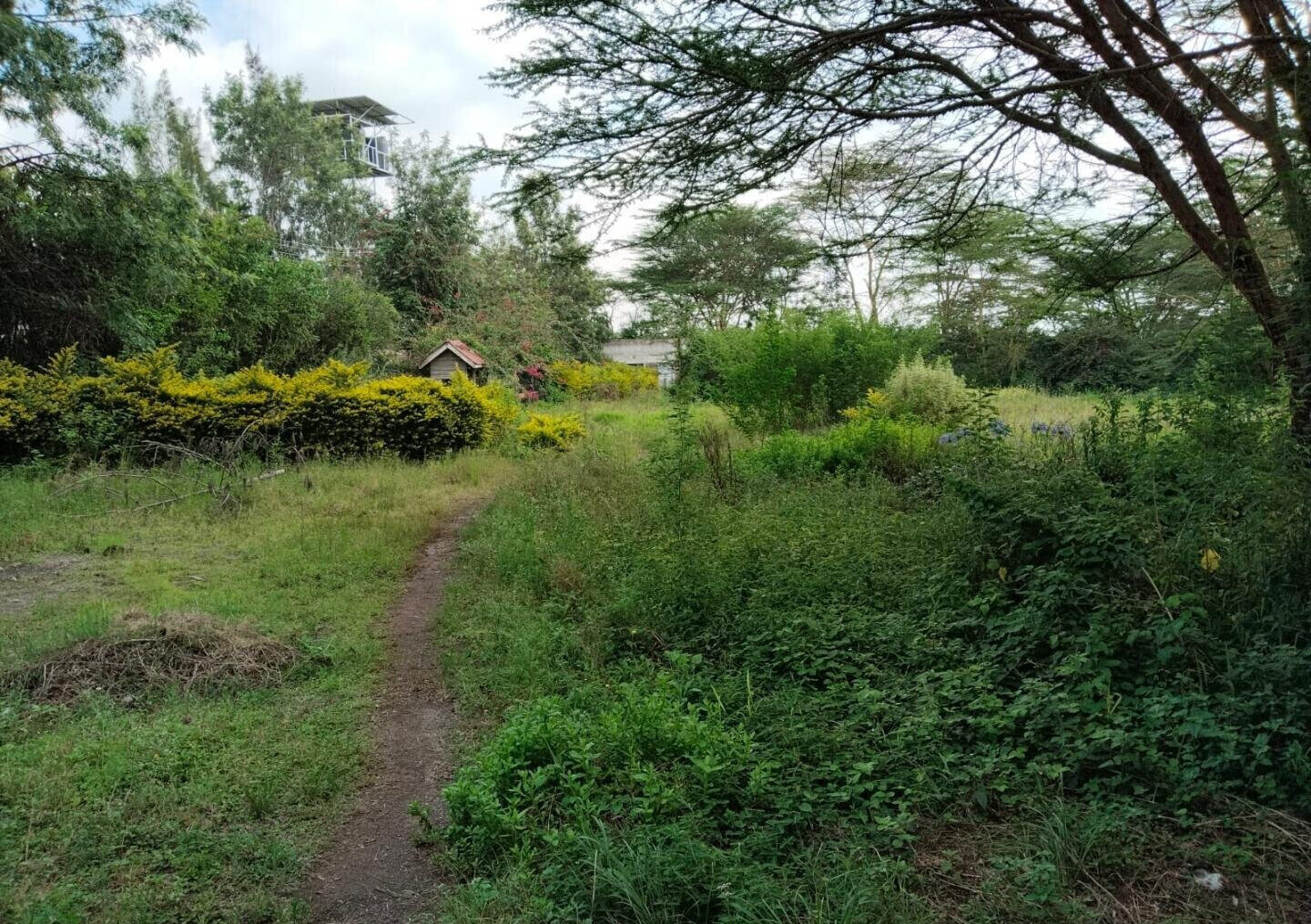 1.5 Acre Commercial Plot in Maasai Lodge