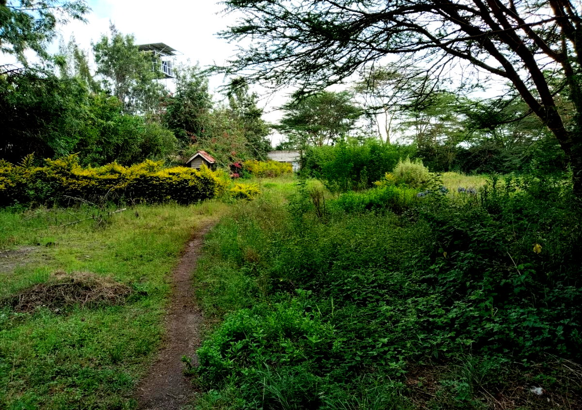 1.5 Acre Commercial Plot in Maasai Lodge