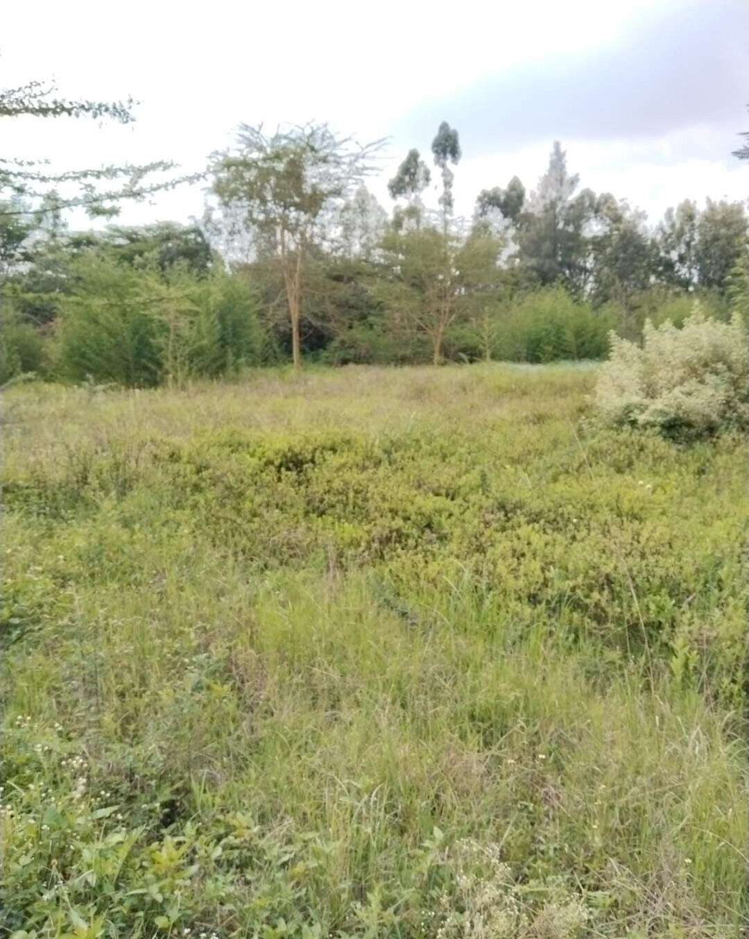 1.5 Acre Commercial Plot in Maasai Lodge