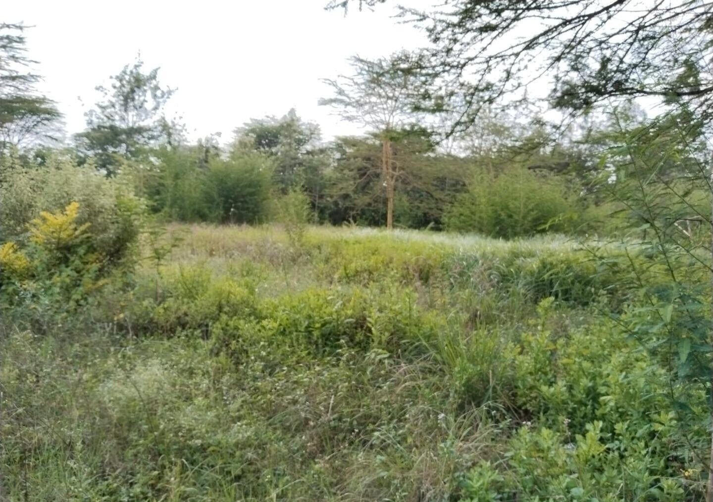 1.5 Acre Commercial Plot in Maasai Lodge