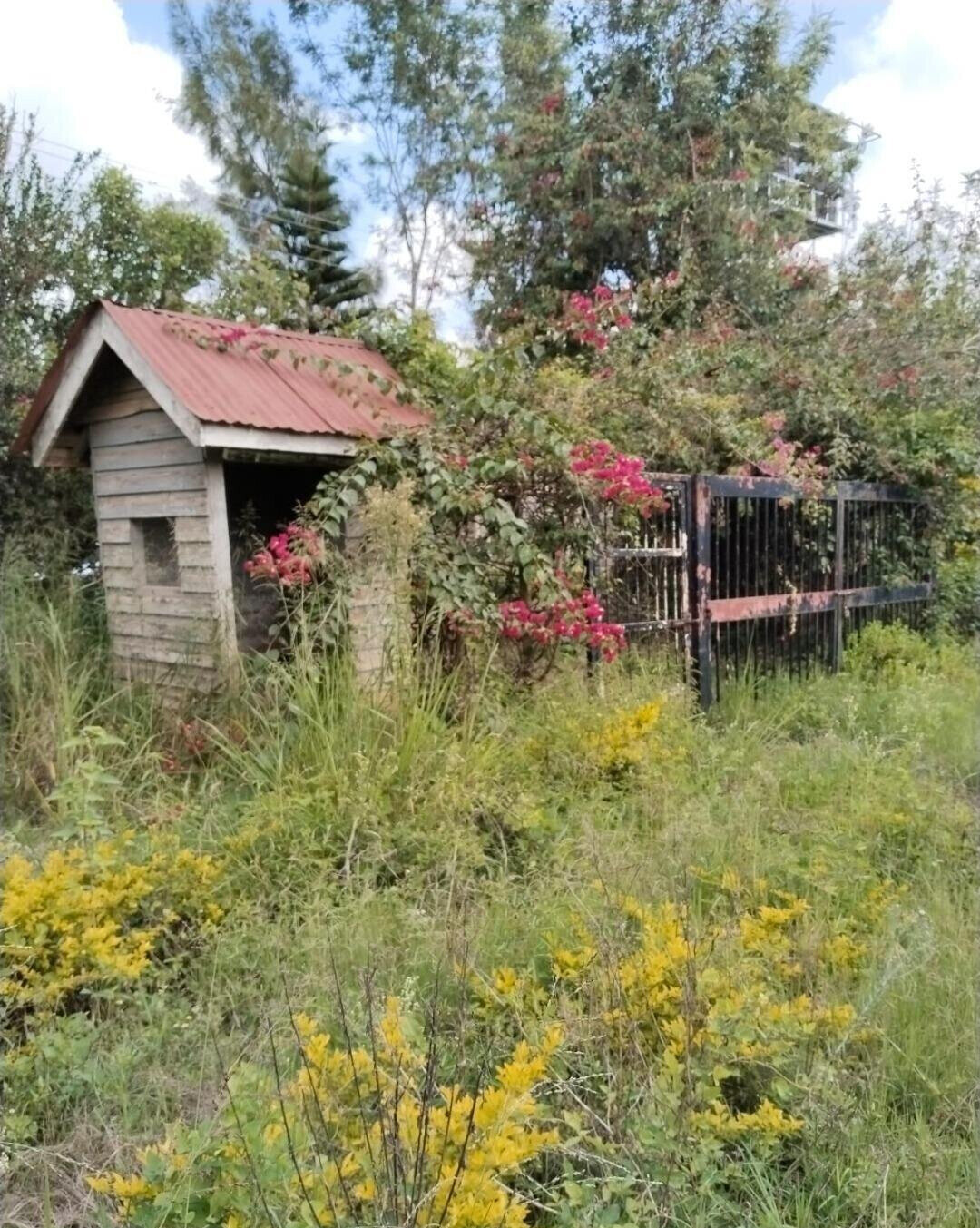 1.5 Acre Commercial Plot in Maasai Lodge