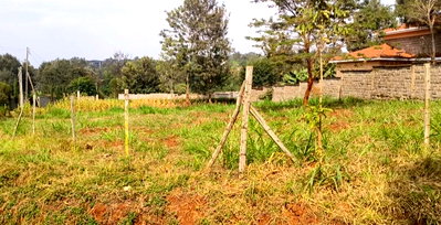 Corner Plot 1/2 Acre in Thome