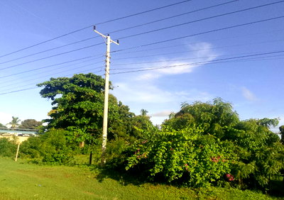 5.2-Acre Land with Highway Frontage