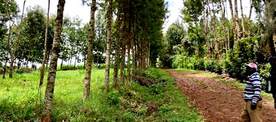One Acre Parcels in Ngong Kahara. - Image 3