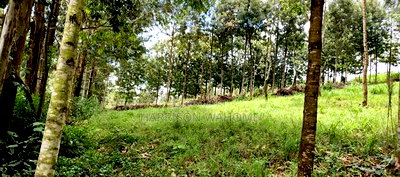 One Acre Parcels in Ngong Kahara. - Image 2