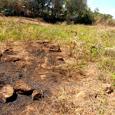 50x100 Prime Plot for Sale in Naivasha - Image 3