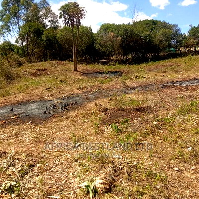 50x100 Prime Plot for Sale in Naivasha - Image 7