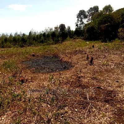 50x100 Prime Plot for Sale in Naivasha - Image 4