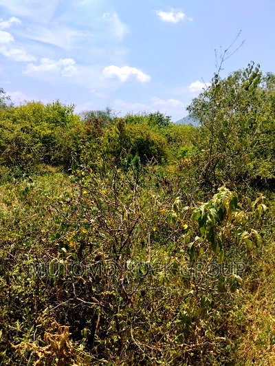 4.3acres for Sale 1.5km From Tarmac - Image 2