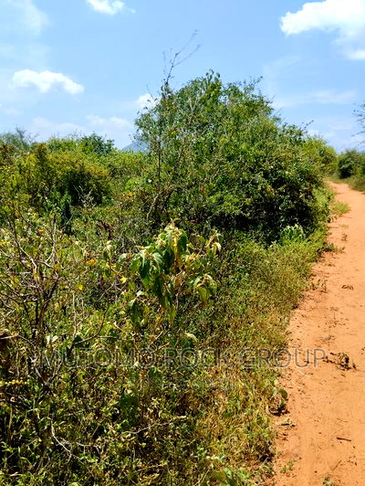 4.3acres for Sale 1.5km From Tarmac - Image 1