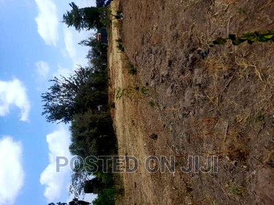 Green Park - Image 1