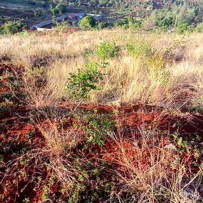 50x100ft Plots for Sale at Kenol Branching at P.C.E.A - Image 5