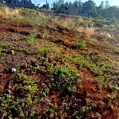 50x100ft Plots for Sale at Kenol Branching at P.C.E.A - Image 1
