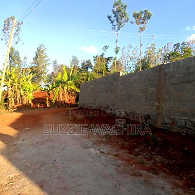 50x100ft Plots for Sale at Kenol Branching at P.C.E.A - Image 2