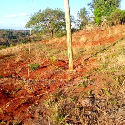 50x100ft Plots for Sale at Kenol Branching at P.C.E.A - Image 4