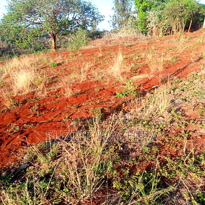50x100ft Plots for Sale at Kenol Branching at P.C.E.A - Image 3