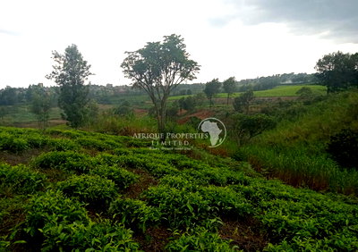 1 Acre Land in Kiambu CBD at KSh 32M
