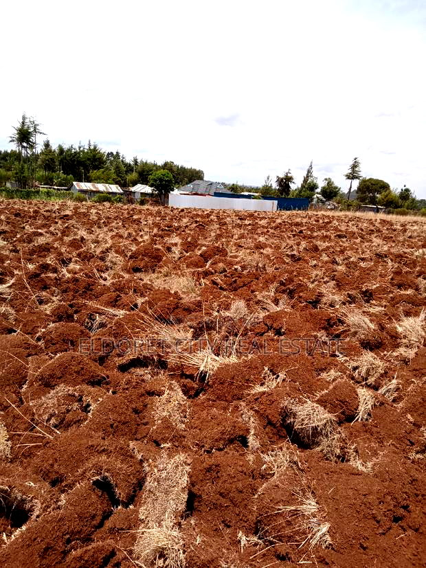 1/2 Acre Kamariny Iten With Title